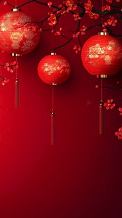 红灯笼映红枝喜庆氛围浓