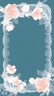 蕾丝花朵边框装饰背景图