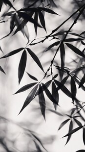 水墨风竹叶剪影