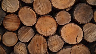 整齐堆叠的圆木截面