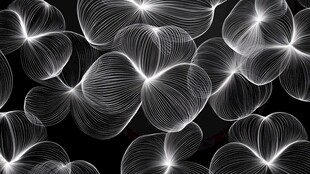 1 梦幻线条花朵黑白图案