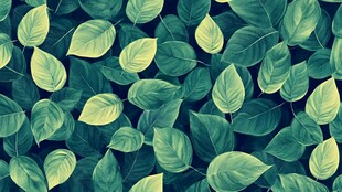 绿叶满幅的清新自然图案