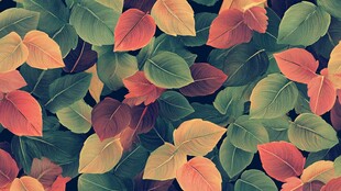 多彩秋叶背景图案