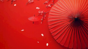 红伞落英 中式浪漫意境