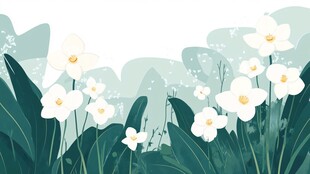春日白花绿意盎然景象