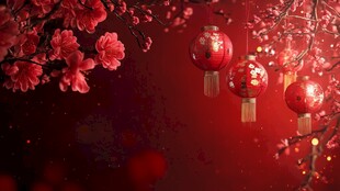 红梅红灯笼 喜庆中国风