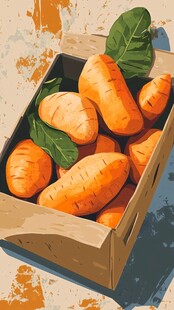 箱中鲜胡萝卜与绿叶