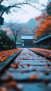 秋景古径 红叶铺就的静谧之路