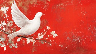 白鸽栖枝于喜庆红背景