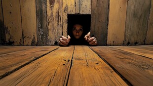 小孩从木板洞探身张望