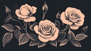 复古风手绘粉色玫瑰花