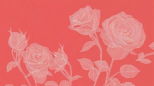 粉色玫瑰花卉简约背景图