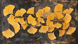 金黄银杏叶铺陈古朴背景