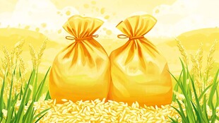 金黄粮袋满 田野丰收景