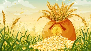 丰收粮袋满 财富伴稻香