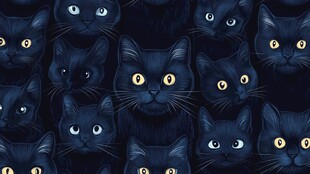 黑猫群像 神秘萌趣猫咪图案