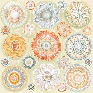 多彩花卉圆形图案设计素材