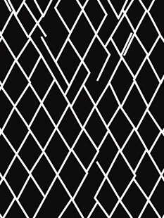 黑白几何线条网状图案
