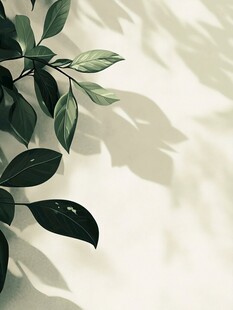 绿叶光影 自然静谧之美