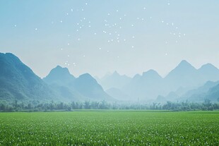 绿野山峦间 飞鸟伴晨曦