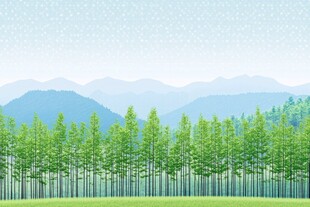 山林绿野美景