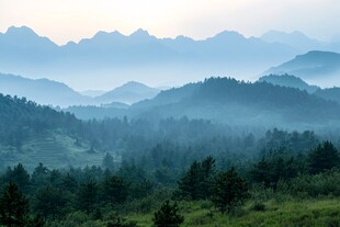 山间晨雾中的葱郁林海