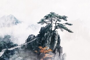 山巅孤松云雾间