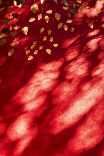红底金叶光影梦幻画面