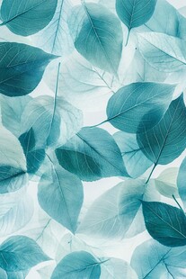蓝绿色树叶纹理背景图案