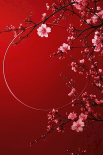 红梅映红背景添雅致