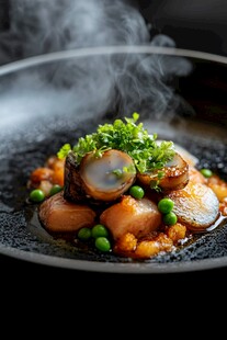 美味扇贝佳肴 视觉味觉盛宴