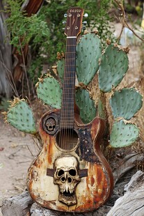 复古骷髅吉他与仙人掌景观