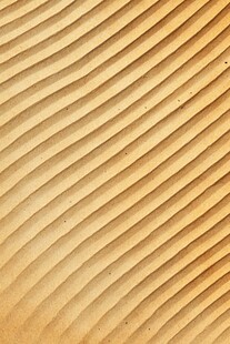 波纹状金色纹理背景图