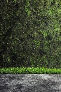 绿意盎然的墙与地面景观