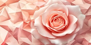粉色玫瑰与几何背景图案