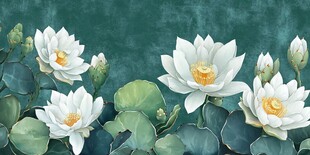 水墨风白莲花清新插画