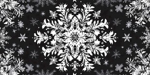 精致黑白雪花图案纹理