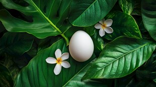 绿叶繁花中的白鸡蛋