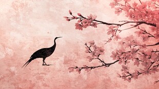 粉樱旁的优雅黑鹤