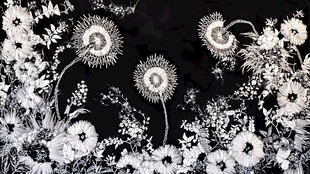 黑白花卉图案装饰艺术