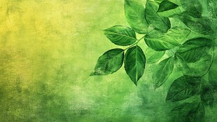 嫩绿枝叶背景图