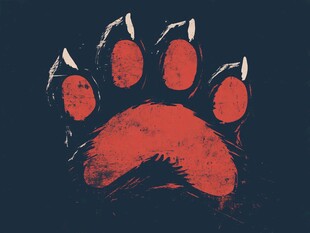 神秘红色兽爪图案