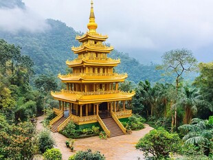山林中的金色宝塔建筑
