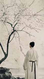 古装人物赏繁花