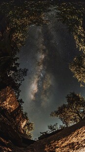 星空下的林间夜景