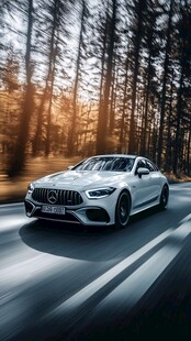 奔驰跑车在林间公路飞驰