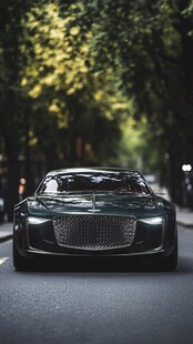 奢华座驾行驶于林荫大道