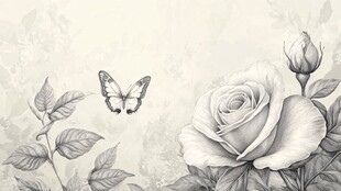 素描玫瑰与翩跹蝴蝶