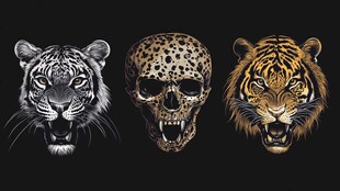 猛兽与骷髅的野性组合