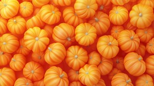 满屏可爱小南瓜